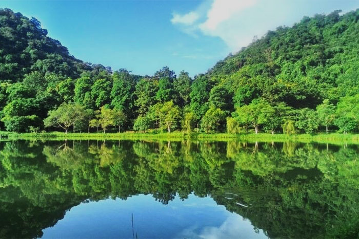 Cuc Phuong National Park